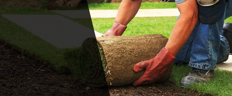 Astatula Landscapers